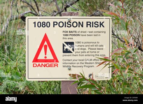 Poison Risk Sign On The South Coast Native Dune System Of Western