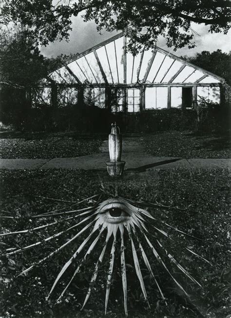 Jerry Uelsmann 1934 Palm Eye And Glass House Catawiki