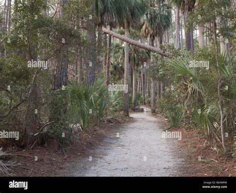 Hunting Island State Park South Carolina Scenic Lagoon Access