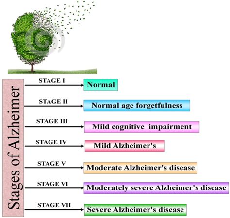 Different Stages Of Alzheimers Disease Download Scientific Diagram