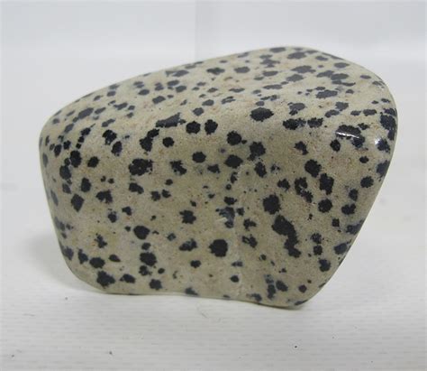 Authentic Dalmatian Stone Dacite Porphyry Volcano Rock Specimen Mexico