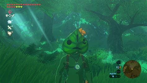 Léčba Koupání Nudný Legend Of Zelda Breath Of The Wild Korok Mask