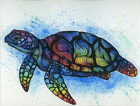 Rainbow Turtle Photographic Prints By Saltyhippie Redbubble