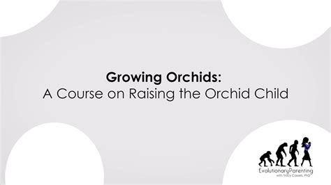 Growing Orchids A Course On Raising The Orchid Child Youtube