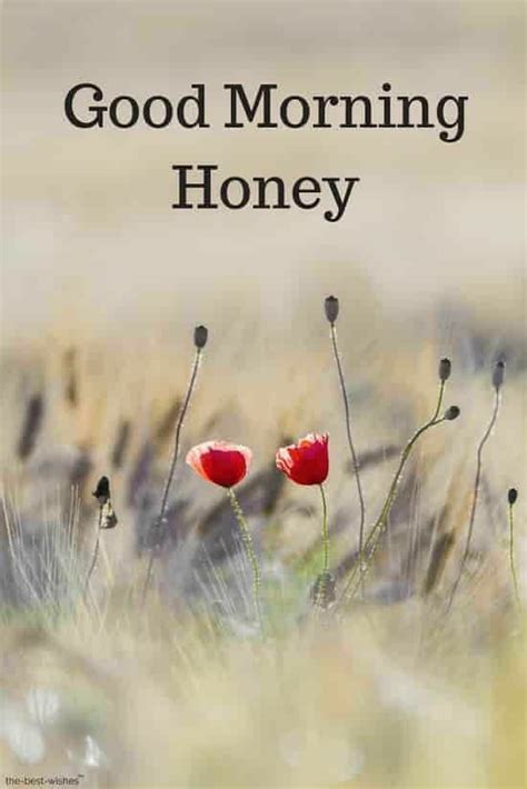 20 Amazing Good Morning Honey Wishes