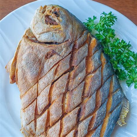Pomfret Black Wild Caught Qld Fish Capalaba Aussie Seafood House