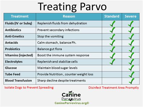 Antibiotics For Dogs Parvo