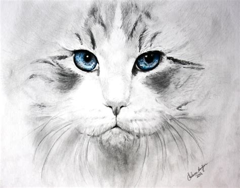 See more ideas about realistic drawings, drawings, pencil drawings. Realistic Pencil Drawings by 18 year old. Vote for her ...