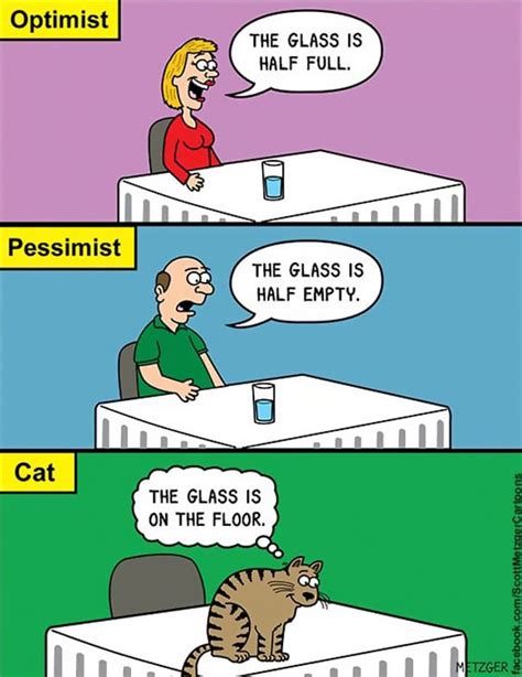 These Funny Cat Cartoons Will Surely Make Your Day