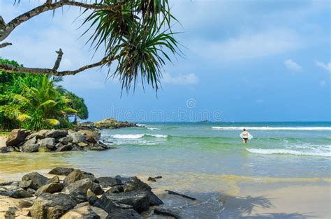 Tropical Beach In Sri Lanka Editorial Photo Image Of Girl Bali