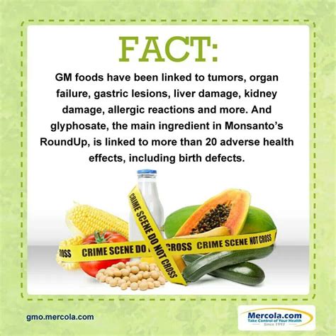 Fact Gm Foods Have Been Linked To Tumors Organ Failure Gastric