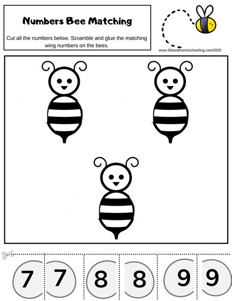 Preschool Worksheets For Numbers