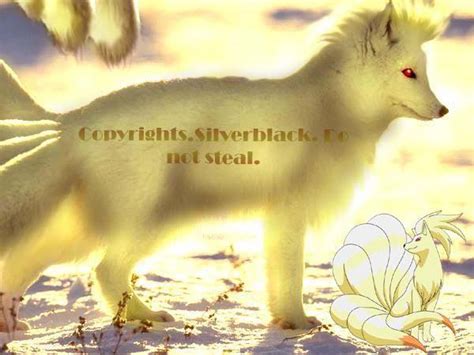 Ninetales Real Life By Mythologixwolf On Deviantart