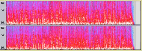Spectrogram View At Audacity Helps Capture The Intensity Of Sound Waves