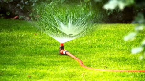 Grass Watering Best Way To Water The Lawn And Use A Sprinkler Sound