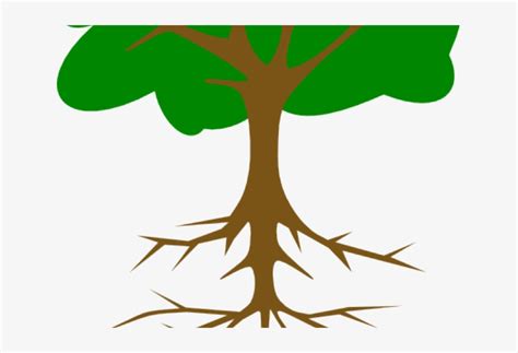 Download Transparent Roots Clipart Plant Root Tree Clip Art Pngkit