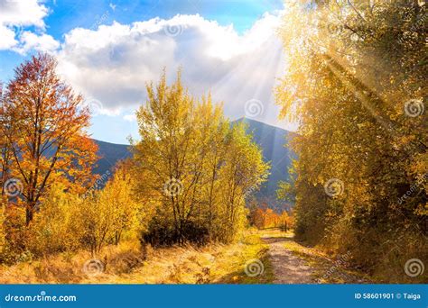 Countryside Autumn Landscape With Sunlight And Sunbeams Stock Image