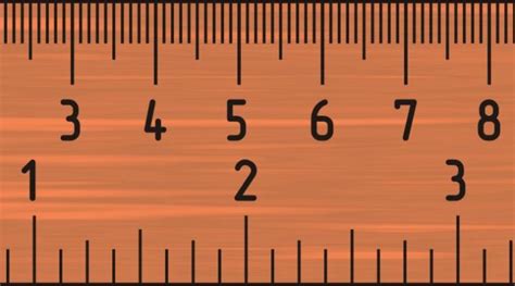 Search Results Actual Sized Ruler Besttemplatess