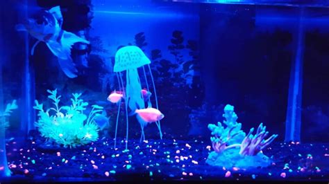 14 Cool Things That Glow In The Dark Glow Fish Fish Tank Themes