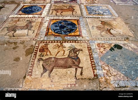 Tunisia Carthage Mosaics At The Roman Villa Stock Photo Alamy