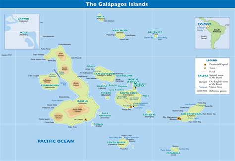 Galapagos FAQ | When is the Best Time to Travel to Galapagos?
