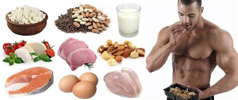 The Best Sources Of Protein For Building Muscles Bodybuilding Wizard