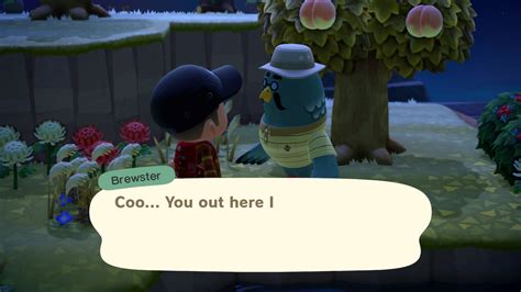 How To Get Brewster In Animal Crossing New Horizons Prima Games