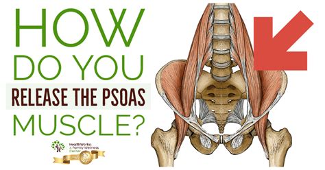 How Do You Release The Psoas Muscle