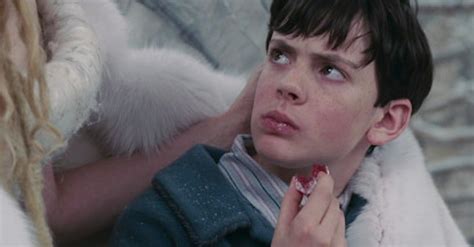 The Lion The Witch And The Wardrobe Edmund Pevensie Turkish Delight