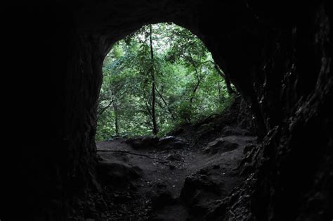 Premium Photo Hidden Remote Cave Entrance In The Forest From Inside