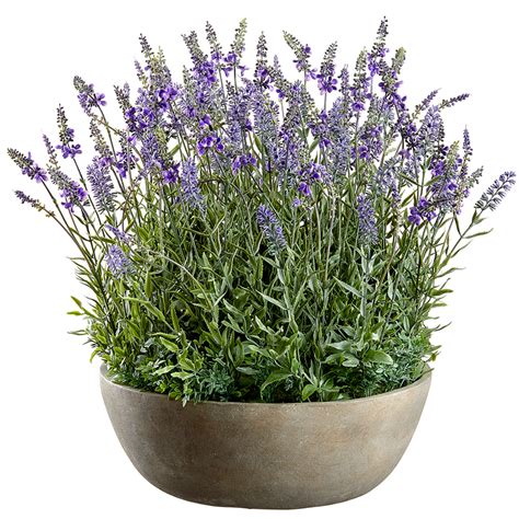 Artificial Lavender Flower Arrangement Wmagnesium Oxide