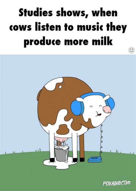 Studies Shows When Cows Listen Io Music They Produce More Milk Ifunny