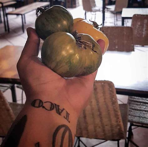 Panaderos y salseros llevan un gorro pequeño, sin tantos dobleces. Comida hasta en la piel: mira los tatuajes de estos chefs mexicanos