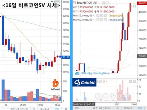 가장 높은 인지도 no.1 거래량과 낮은 수수료 가입 사용법 2위: 단독비트코인SV 상장폐지, 역주행 코인빗…자정노력 '엇박자'