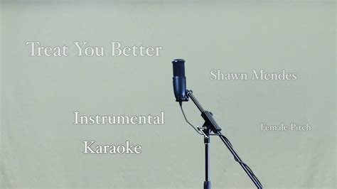 Shawn Mendes Treat You Better Instrumental Lyrics Youtube