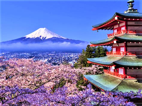 Japan Cherry Blossom Shrine Fuji Cropped Flycruise