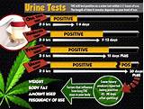 Photos of How To Pass A Marijuana Drug Test In One Day