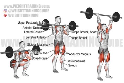 The Full Benefits Of Barbell Thrusters An Unbeatable Full Body