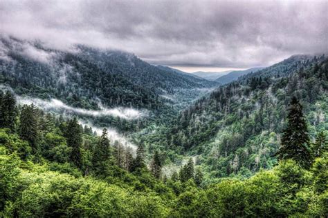 Great Smoky Mountains Stephen L Tabone Nature Photography