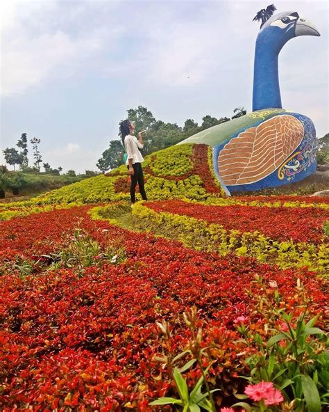 Taman bunga pandeglang banten kdanung jambu viral 2020. Lokasi Taman Bunga Pandeglang - Prewedding Bebi and Ratih ...