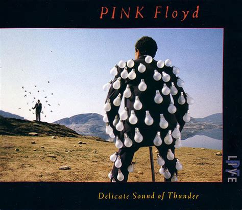 A comic book villain podcast. Pink Floyd - Delicate Sound Of Thunder | Releases | Discogs