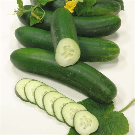 Cucumbers Vegetables Photo 35203447 Fanpop