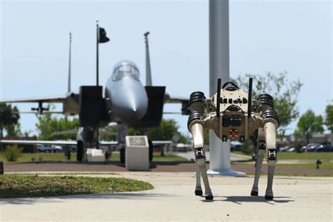 Robot Dogs On Patrol At Tyndall Air Force Base