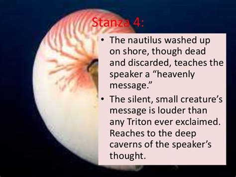 Chambered Nautilus Poem