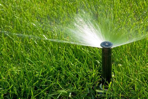 If you water too much too quickly, excess water will run off your lawn—a waste of water resources. How To Grow Grass Fast - A Green Hand