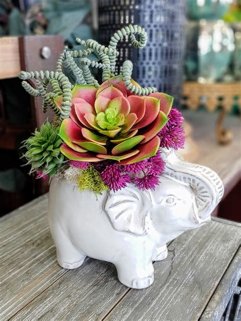 Click here to see some succulents that would make an interesting monochromatic arrangement. Elephant Faux Succulent Arrangement in Las Vegas, NV ...