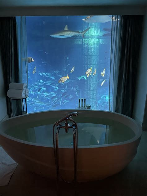 Atlantis Suite An Underwater Experience Big Guy Big World