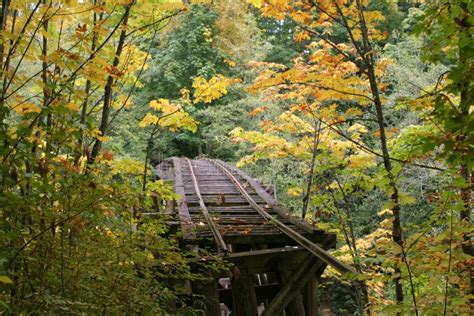 Fall Trestle Stock Image Image Of Pacific Trestle Leaves 6676069