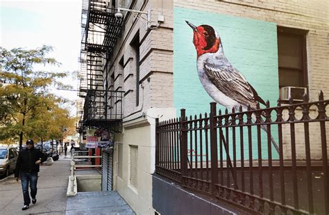 Meet The London Street Artist Who Painted Bird Murals All Over Harlem
