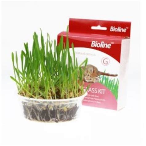 Get it today with same day delivery, order pickup. Bioline Cat Grass Kit - Chimuelo.cl